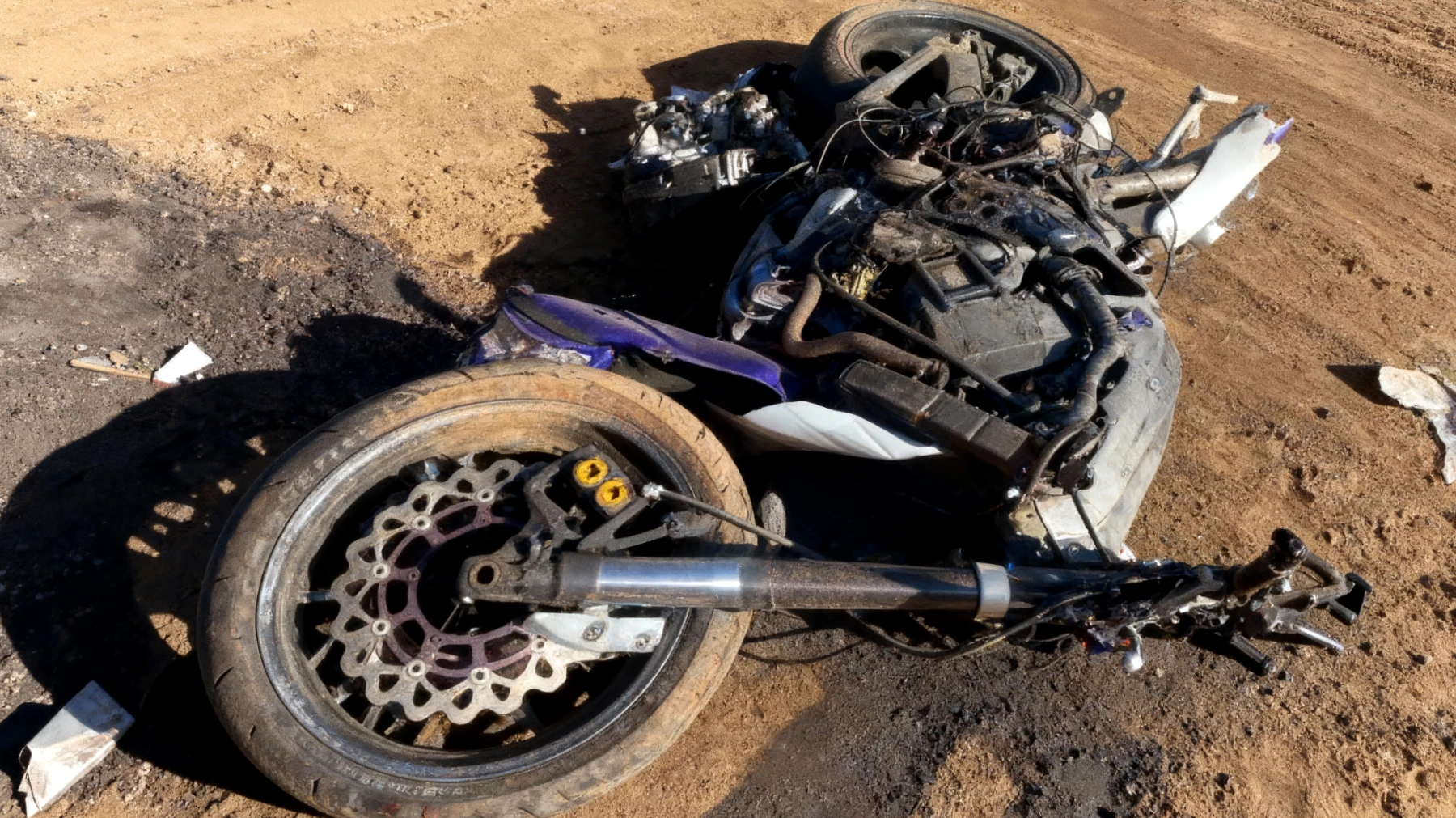 In aller Freundschaft2025-11-24T05:38:13.912Z"